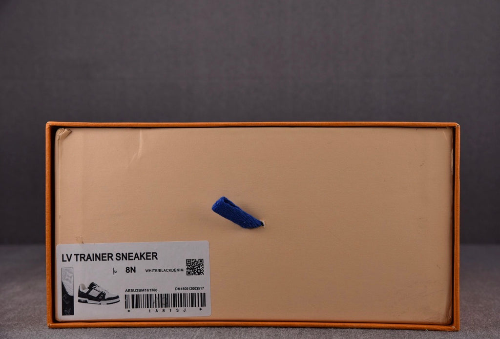 Louis Vuitton LV Trainer White Black