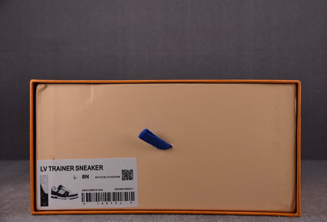 Louis Vuitton LV Trainer White Black